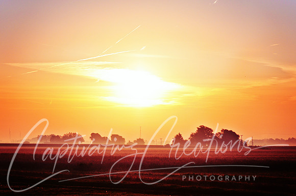 Breaking Dawn