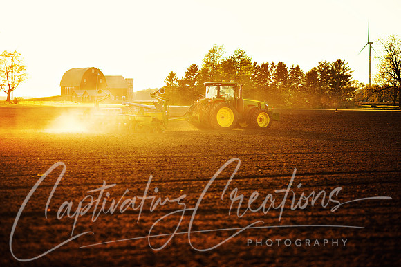Spring Planting